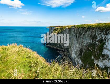 Glorious weather at Bempton Cliffs RSPB in Yorkshire Stock Photo