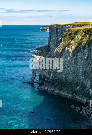 Glorious weather at Bempton Cliffs RSPB in Yorkshire Stock Photo