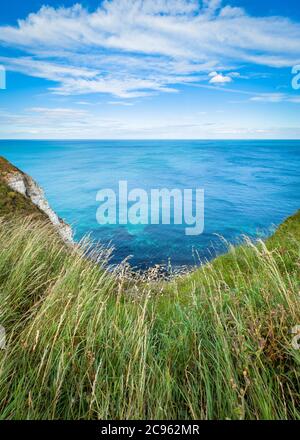 Glorious weather at Bempton Cliffs RSPB in Yorkshire Stock Photo