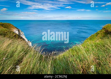 Glorious weather at Bempton Cliffs RSPB in Yorkshire Stock Photo