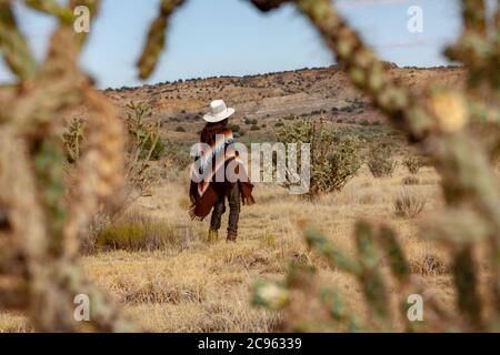 Hispanic woman in a poncho and cowboy hat hikes through a dramatic, hot desert landscape surrounded by tall cactus in the Ojito Wilderness Area, New M Stock Photo