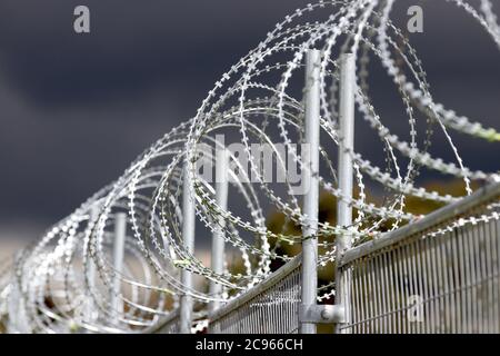 Security Fence with Razor Wire Stock Photo