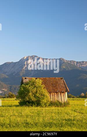 geography / travel, Germany, Bavaria, Grossweil, meadow at Grossweil, Herzogstand (peak), at Kochel, K, Additional-Rights-Clearance-Info-Not-Available Stock Photo