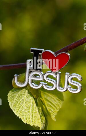 I love Jesus pin on a tree with a new green leave.  France. Stock Photo