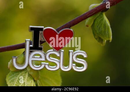 I love Jesus pin on a tree with a new green leave.  France. Stock Photo