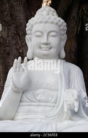 prince siddhartha gautama statue face