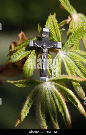 Springtime. Crucifix on a chestnud bud.  France. Stock Photo