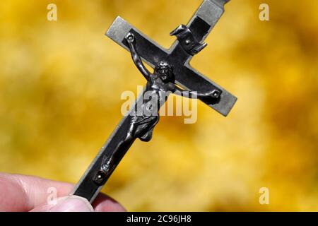 Broom in bloom in spring. Crucifix on yellow background. France. Stock Photo