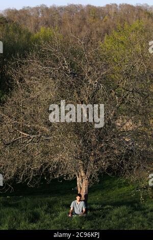 Young man reading under a tree in Eure, France. Stock Photo