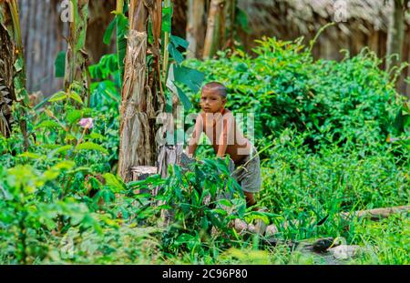 INDIOS YANOMAMI, GIRL WITH BABY, IRONAVI TRIBE, BRAZO CASIQUIAIRE, AMAZONAS, VENEZUELA Stock Photo