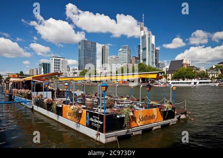 cityscape with the Main and financial district, swimming restaurant in the foreground, Germany, Hesse, Frankfurt am Main Stock Photo