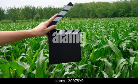 Female hands holding classic director film clapperboard in corn field. Stock Photo