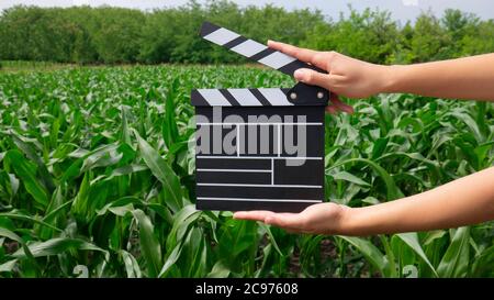 Female hands holding classic director film clapperboard in corn field. Stock Photo