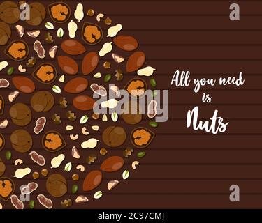 Assorted nuts Vector illustration in flat style Stock Vector