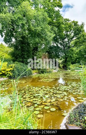 Cliveden House Maidenhead Berkshire views of water garden and lily pond Stock Photo