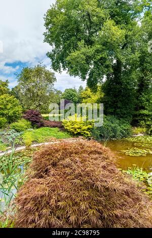 Cliveden House Maidenhead Berkshire views of water garden and lily pond Stock Photo