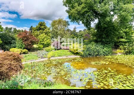 Cliveden House Maidenhead Berkshire views of water garden and lily pond Stock Photo