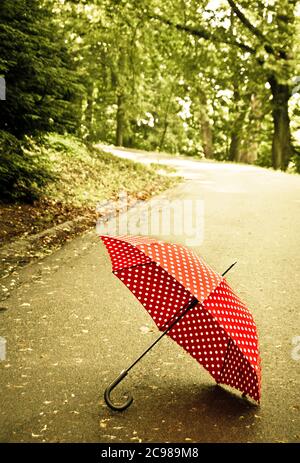 red polka dot umbrella lying on the road Stock Photo