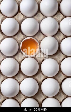 White raw chicken eggs, top view. One egg is broken, yolk and protein are visible. Stock Photo