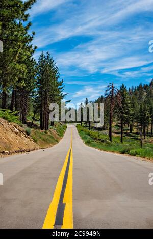 Scenic paved countryside road with double yellow lines leading through green forest under blue skies with white clouds. Stock Photo