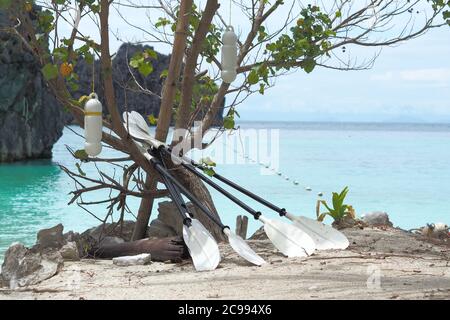 The White Kayak Paddle placed against the tree on Sea and Beach background. Stock Photo