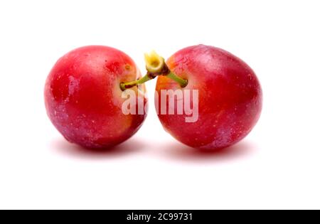 Small cherry plums, isolated on white background Stock Photo