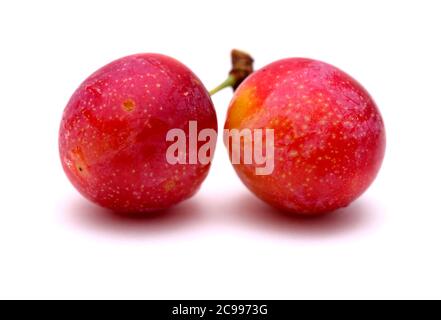 Small cherry plums, isolated on white background Stock Photo