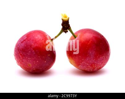 Small cherry plums, isolated on white background Stock Photo