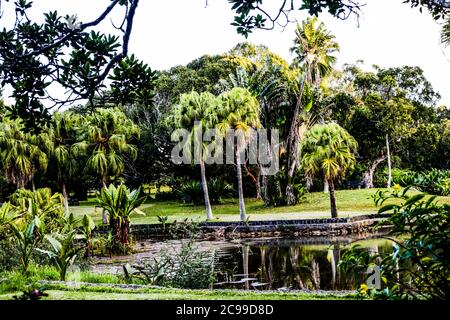 Curepipe Botanic Gardens (or SSR Botanical Garden of Curepipe) in Route des Jardins, Curepipe, is the second largest botanical garden in Mauritius. Stock Photo