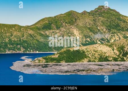 Spirit Lake with floating logs, 40 years after the blast, in Mount St. Helens National Volcanic Monument, Gifford Pinchot National Forest, Washington Stock Photo