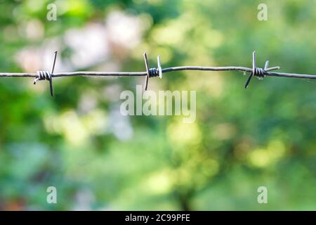 Stretched barbed wire on a light green blurred background. Territory protection concept, copy space. Stock Photo