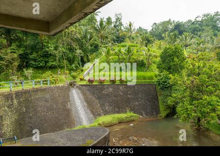 Water dam at Rice paddies Stock Photo