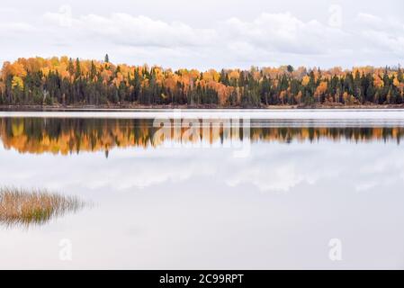 Fall colours, Abitibi-Témiscamingue, Quebec, Canada Stock Photo - Alamy