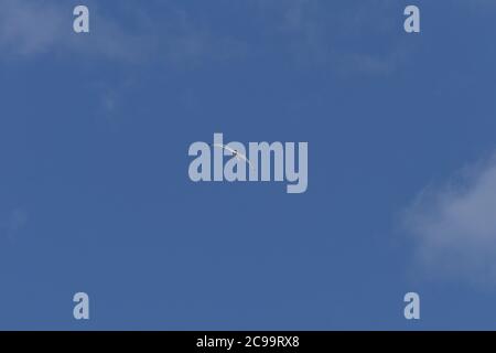 seagull flying high in the deep blue sky Stock Photo