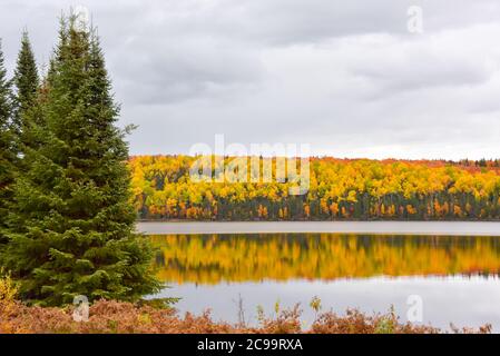 Fall colours, Abitibi-Témiscamingue, Quebec, Canada Stock Photo