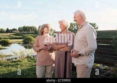 Group of senior people talking to each other and drinking red wine while resting in the country Stock Photo