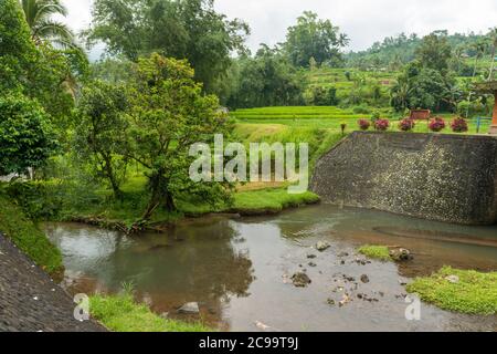 Water dam at Rice paddies Stock Photo