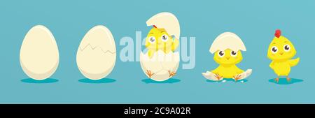 Chicken hatching from the egg. Cartoon baby chick birthday step-by-step process. Funny and educational illustration for kids. Stock Vector