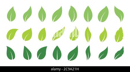 Green abstract leaf icons. Natural greens young plants pictograms and leaf or forest branch leaves. Vector isolated icons set Stock Vector
