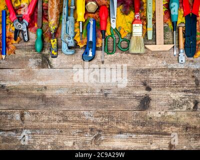 Old construction tool on autumn leaves.Wood background. Stock Photo