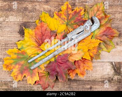 Old adjustable spanner on autumn leaves.Old tool on a wooden background. Stock Photo