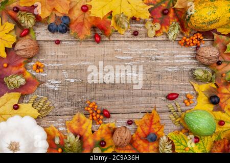 Autumn leaves, pumpkins, berries, nuts and hops. Stock Photo