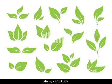 Green tree leaves. Various shapes of green leaves of trees and plants. Elements for eco and bio logos. Vector illustration. Stock Vector