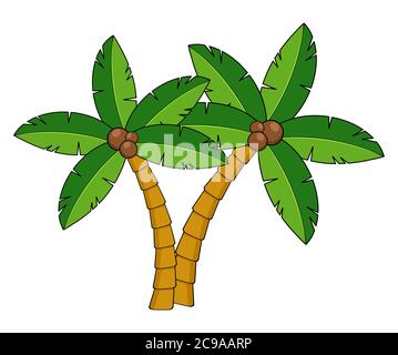 Palm trees cartoon illustration.Two curved coco palm isolated on white. Design element for summertime leaflet or advert. Exotic palmtree illustration. Stock Vector