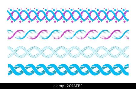 DNA spiral. Vector twisted spiral or helical structure of chromosome cells, human genes. Stock Vector