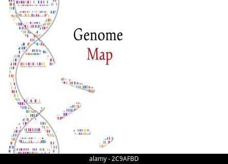 DNA test, genom map. Mosaic genome and distressed stamp seal with Genome phrase. Vector illustration. Stock Vector