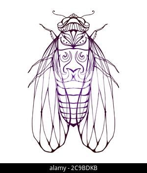 Illustration cicada  with boho pattern. Vector element for coloring prints, for T-shirts, tattoos and a sketch for your creativity Stock Vector