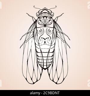 Illustration cicada  with boho pattern. Vector element for coloring prints, for T-shirts, tattoos and a sketch for your creativity Stock Vector