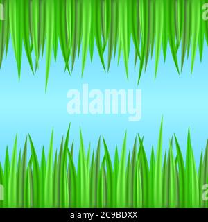 Seamless borders with realistic grass. Vector element for your creativity Stock Vector