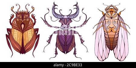 Insect set in color with a tribal pattern. Doodle scarab, cicada and beetle deer separate from the background. Vector element for your creativity Stock Vector